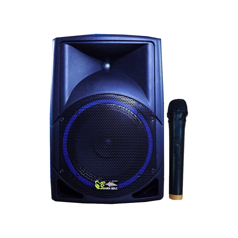 اکو پرتابل برین صوت 12300