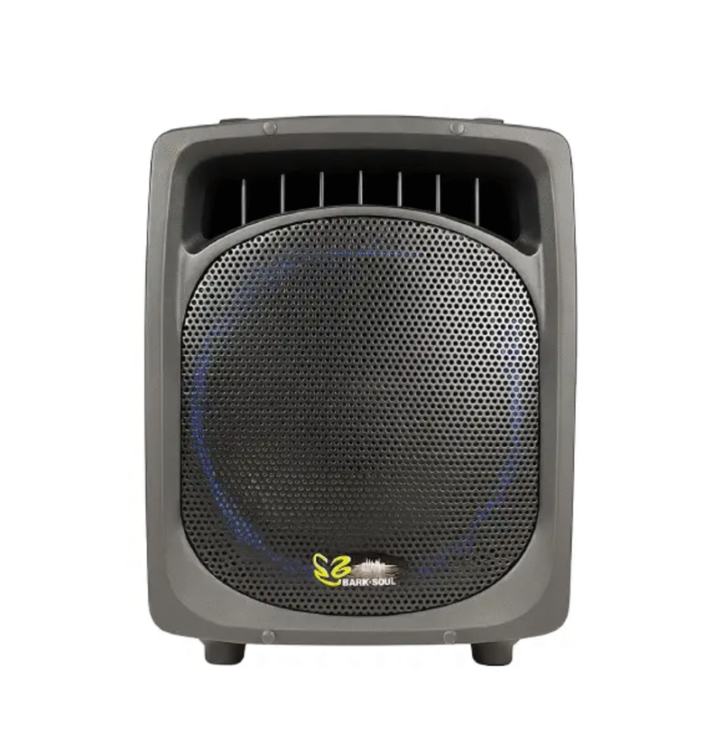 اکو پرتابل برین صوت 12200